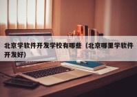 北京学软件开发学校有哪些（北京哪里学软件开发好）